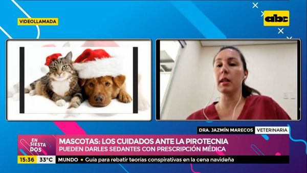 ¿Cómo cuidar a nuestras mascotas ante la pirotecnia? - Ensiestados - ABC Color