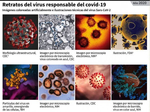 Una guía para rebatir las teorías conspirativas en esta Navidad