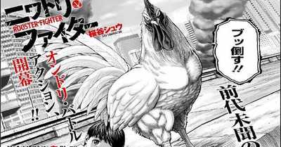 ‘Rooster Fighter’: el manga sobre un gallo que lucha con monstruos para salvar al mundo - C9N
