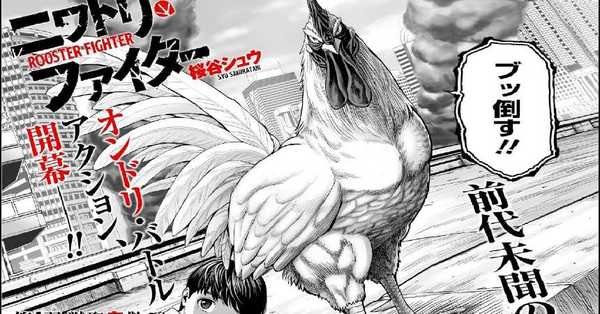 ‘Rooster Fighter’: el manga sobre un gallo que lucha con monstruos para salvar al mundo - C9N