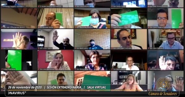 La Nación / Investidura selectiva fue camuflaje en el Senado