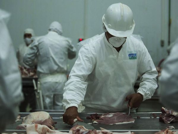Se espera enviar a Uruguay 4.500 ton. de carne porcina