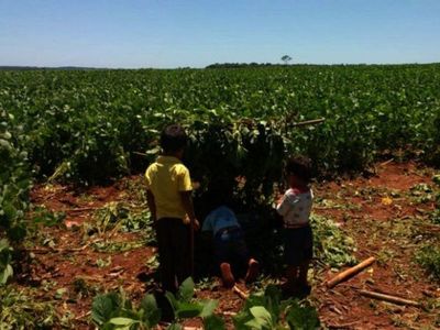 Repudian inacción policial tras el ataque de civiles contra indígenas