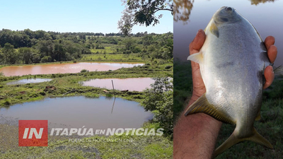 MODALIDAD DE PESQUE Y PAGUE, UNA OPCIÓN PARA DISFRUTAR CON LOS NIÑOS