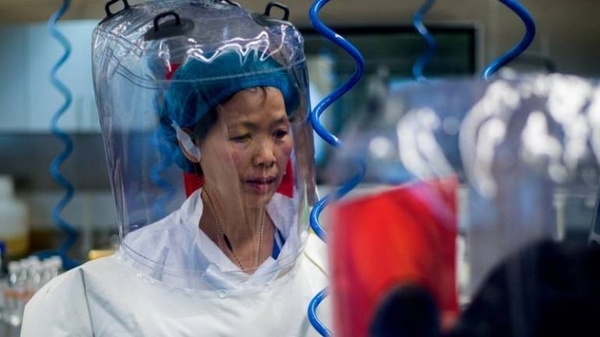 HOY / "No tenemos nada que ocultar": la científica estrella de Wuhan invita a la OMS a visitar el laboratorio
