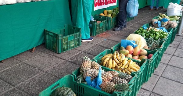 La Nación / Alistan la última edición del año de la feria agropecuaria familiar