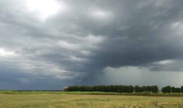 Alerta por tormentas para la tarde y noche de este viernes