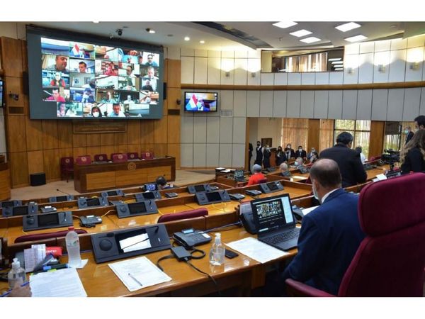 Polémica en Senado por protesta de una firma no adjudicada