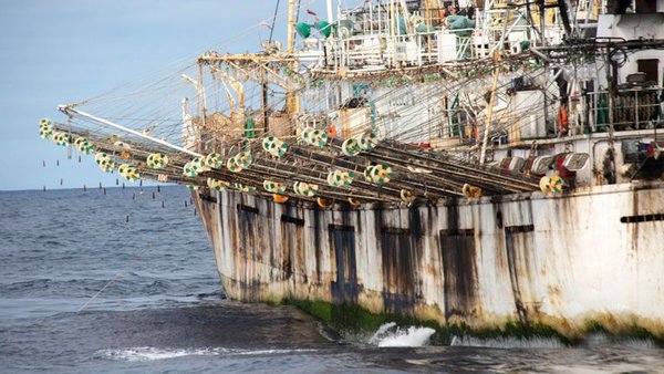 Alertan sobre la presencia de cientos de pesqueros chinos en zona económica exclusiva argentina