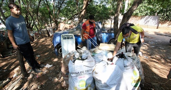 La Nación / Senepa: de 250 notificaciones de posibles casos de dengue, la mitad es de Central y Asunción
