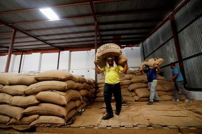 Los ingresos por la exportación de café hondureño bajan un 45% por los efectos de las tormentas - MarketData