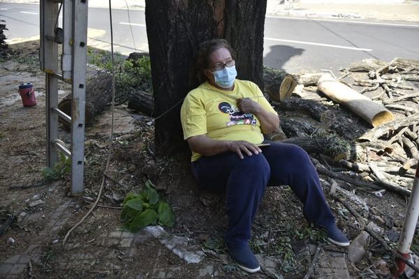 Mujer se encadenó a un árbol para evitar que sea talado - Nacionales - ABC Color