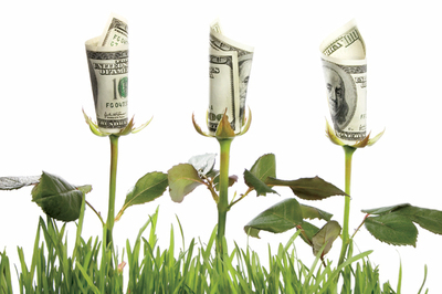 Paraguay desaprovecha ventajas de la economía verde