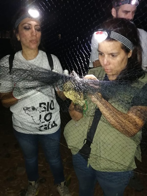 Crónica / Paraguayos serán pyrague de ¡Batman!