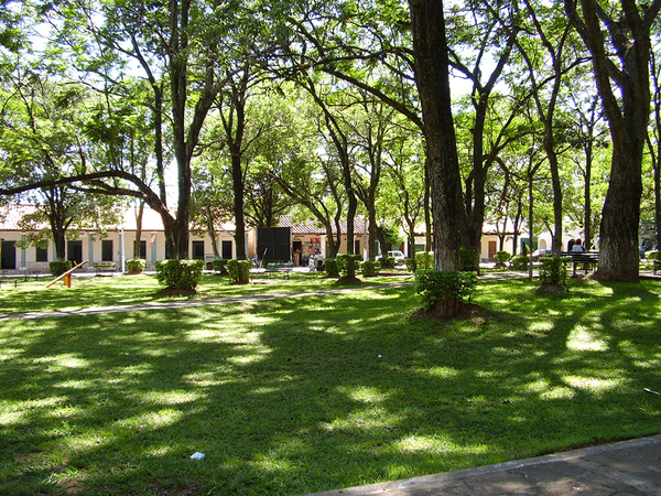 Anuncian un domingo caluroso con probabilidad de chaparrones y lluvias dispersas - ADN Digital