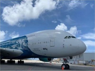 Una pareja abandona avión a punto de despegar por el tobogán de emergencia