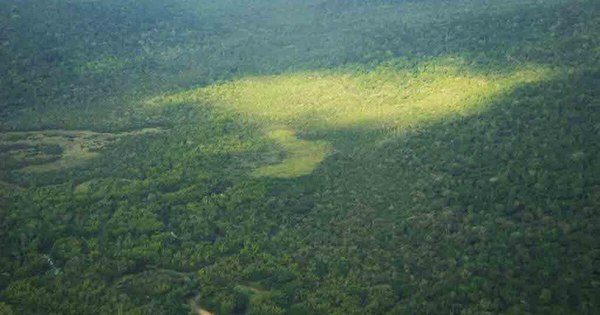 La Nación / Exigen a Mario Abdo hacer uso del veto presidencial a proyecto que busca expropiar tierras