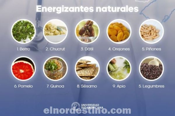 Universidad Sudamericana te sugiere ganar vitalidad y combatir el agotamiento incorporando ingredientes naturales a tu dieta