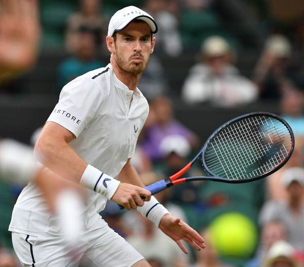 Andy Murray recibió una invitación para el Australia Open - Tenis - ABC Color