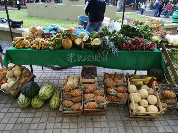 Asistí a la feria de productores en la costanera