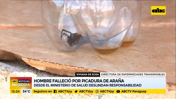 Salud deslinda responsabilidad tras muerte por picadura de araña - ABC Noticias - ABC Color