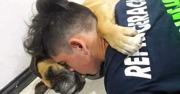 Una perrita murió abrazada a su dueño mientras sufría por los fuegos artificiales - C9N