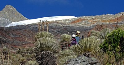 La Nación / Nuevas formas de vida emergen del último glaciar de Venezuela
