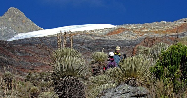 La Nación / Nuevas formas de vida emergen del último glaciar de Venezuela