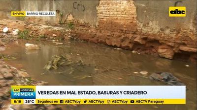 Veredas en mal estado, basuras y criaderos de mosquitos en el barrio Recoleta - ABC Noticias - ABC Color