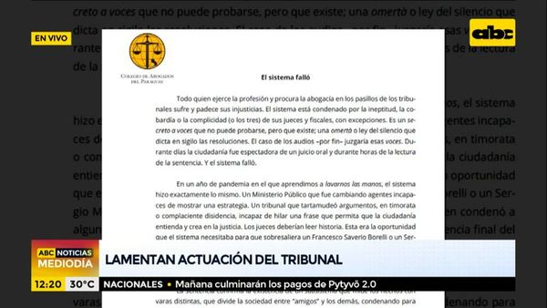 Escrachadores y Colegio de Abogados lamentan actuación del Tribunal - ABC Noticias - ABC Color