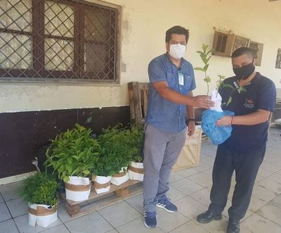 Proyecto Ñoty busca distribuir 5.000 plantines - ABC en el Este - ABC Color