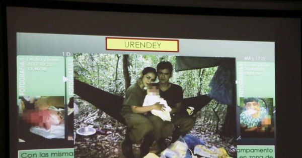 La Nación / ARP brinda su total apoyo a la FTC y Fiscalía en la lucha contra grupo criminal