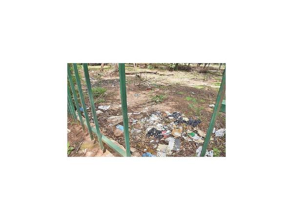 Piden informe sobre proyecto para el Parque Caballero