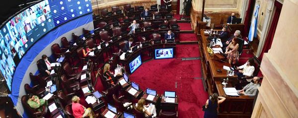 El Senado argentino debate la ley del aborto en una maratoniana sesión - Mundo - ABC Color