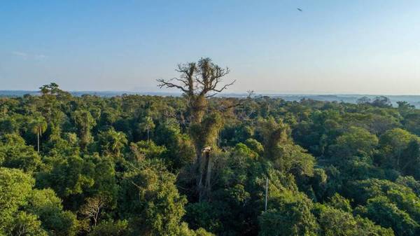 Exfiscal ambiental sobre reserva de Marina Cué: “El presidente tiene que vetar ley”