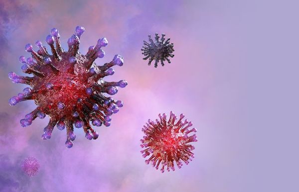Las contaminaciones por covid-19 en Wuhan, 10 veces superiores al balance oficial - Mundo - ABC Color