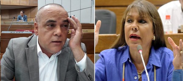 Ánimos caldeados en Diputados. Celeste Amarilla amenaza con escribano a Bachi Núñez - ADN Digital