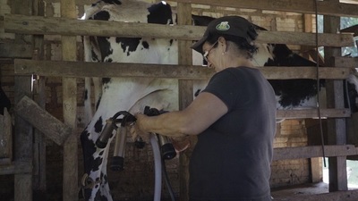 Sector de lácteos cierra el año con volumen récord de producción