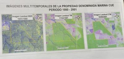 Ocupantes prometen reforestación de Marina Cué, si el Estado les concede dichas tierras - Nacionales - ABC Color