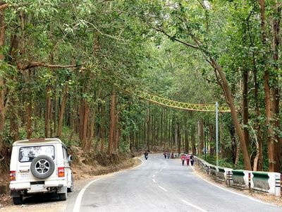 Un puente para serpientes, nuevo lugar favorito para selfies en India - Viajes - ABC Color