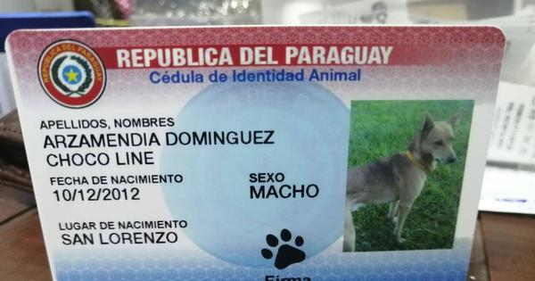 Volverán a comercializar cédulas de mascotas