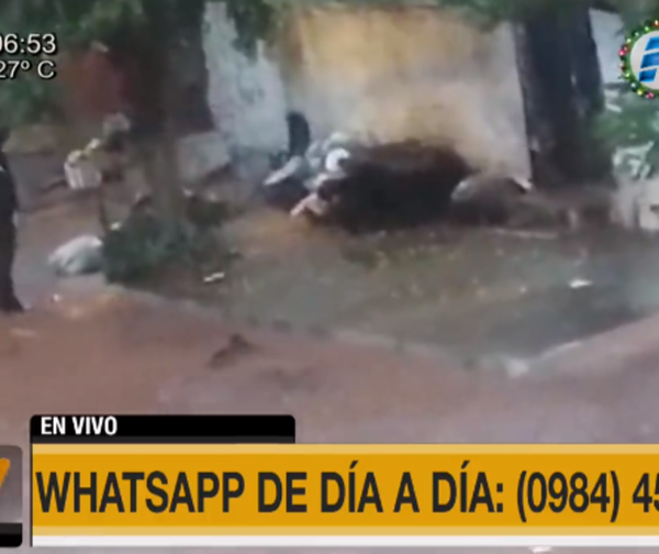 Los puercos de siempre aprovechando el raudal