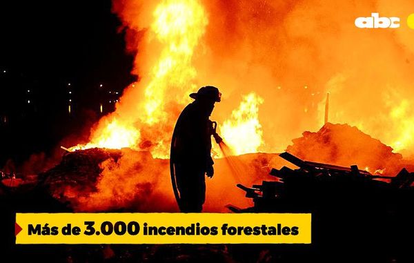 Fuego y veneno - Anuario 2020 - ABC Color