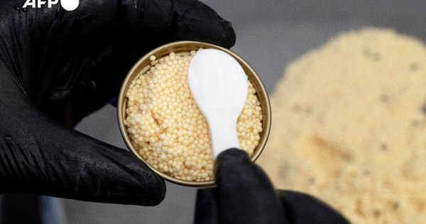 La Nación / El caviar blanco, inesperado tesoro en los Alpes austriacos
