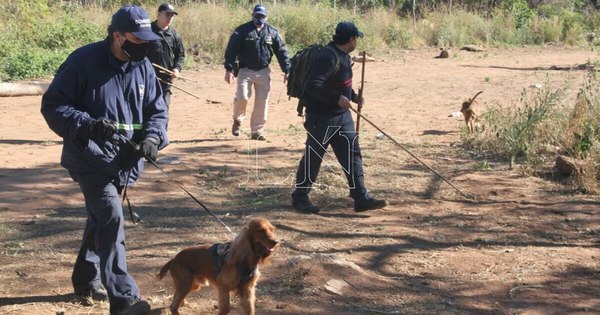 La Nación / Emboscada: a más de ocho meses de la desaparición, nada se sabe de la menor