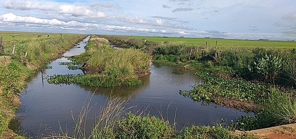 Intervienen propiedades por alterar humedales del refugio de Vida Silvestre Yabebyry » Ñanduti