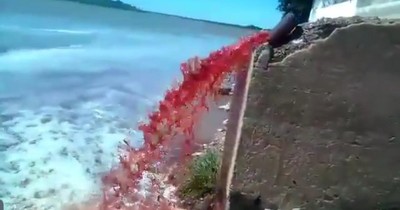 La Nación / Imputan a directivos de frigorífico que arrojó desechos al río Paraguay