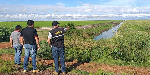 Arroceros secan humedales, denuncian pobladores e interviene el Mades - ADN Digital