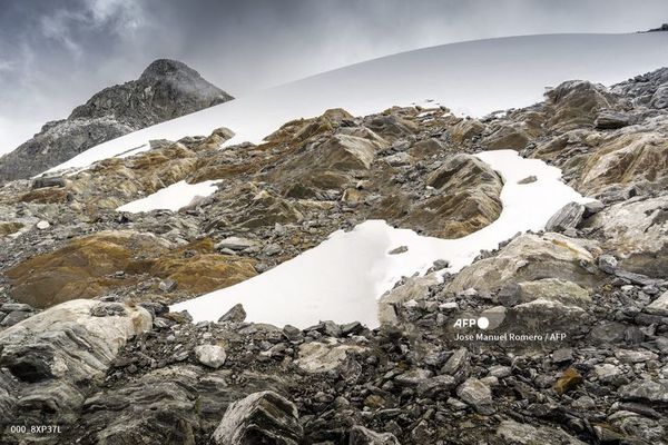 Nuevas formas de vida emergen entre las rocas desnudas del último glaciar de Venezuela - Ciencia - ABC Color