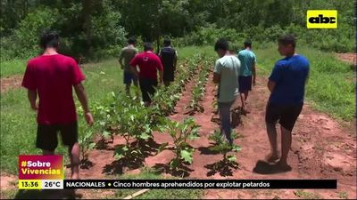 #SobreVivencias: En busca de una vida mejor - ABC Noticias - ABC Color